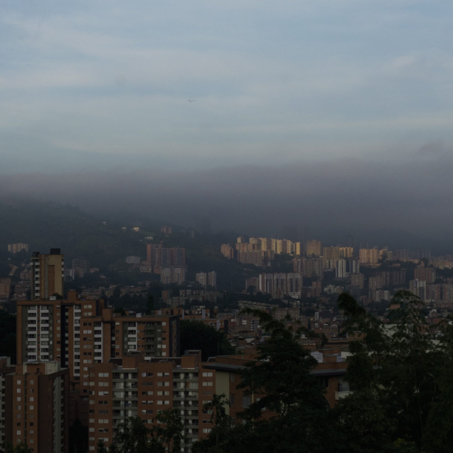 Contaminación